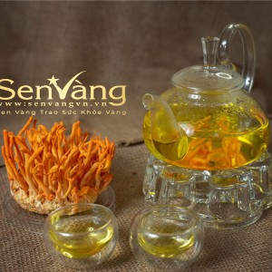 SỬ DỤNG ĐÔNG TRÙNG HẠ THẢO THẾ NÀO CHO HIỆU QUẢ?