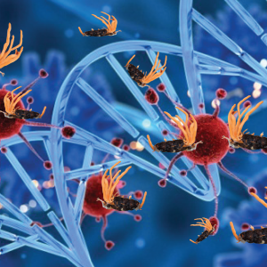 ĐÔNG TRÙNG HẠ THẢO HỖ TRỢ ĐIỀU TRỊ UNG THƯ