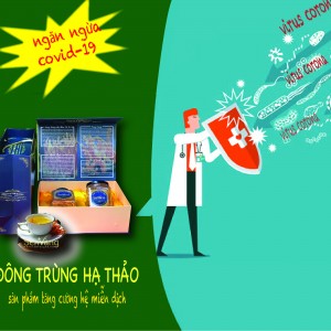 SỬ DỤNG ĐÔNG TRÙNG HẠ THẢO GIÚP TĂNG CƯỜNG MIỄN DỊCH, NGĂN NGỪA VIRUS CORONA?