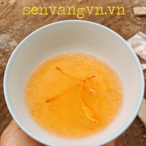 ĐÔNG TRÙNG HẠ THẢO - YẾN SÀO: TRÂN PHẨM TRAO SỨC KHỎE VÀNG