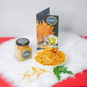 KHI NÀO NÊN VÀ KHÔNG NÊN SỬ DỤNG ĐÔNG TRÙNG HẠ THẢO?