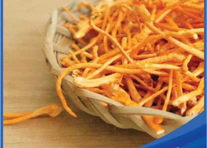 Đông Trùng Hạ Thảo Sen Vàng Sấy Khô 1 Kg