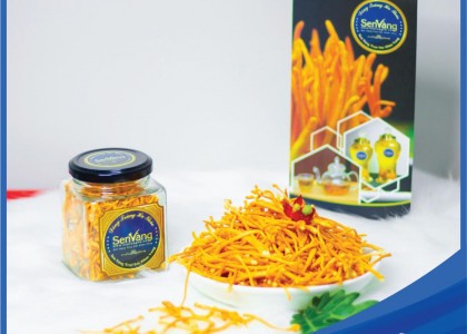 Đông Trùng Hạ Thảo Sen Vàng Sấy Khô 10Gr