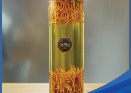 Rượu Đông Trùng Hạ Thảo 1.5 lít